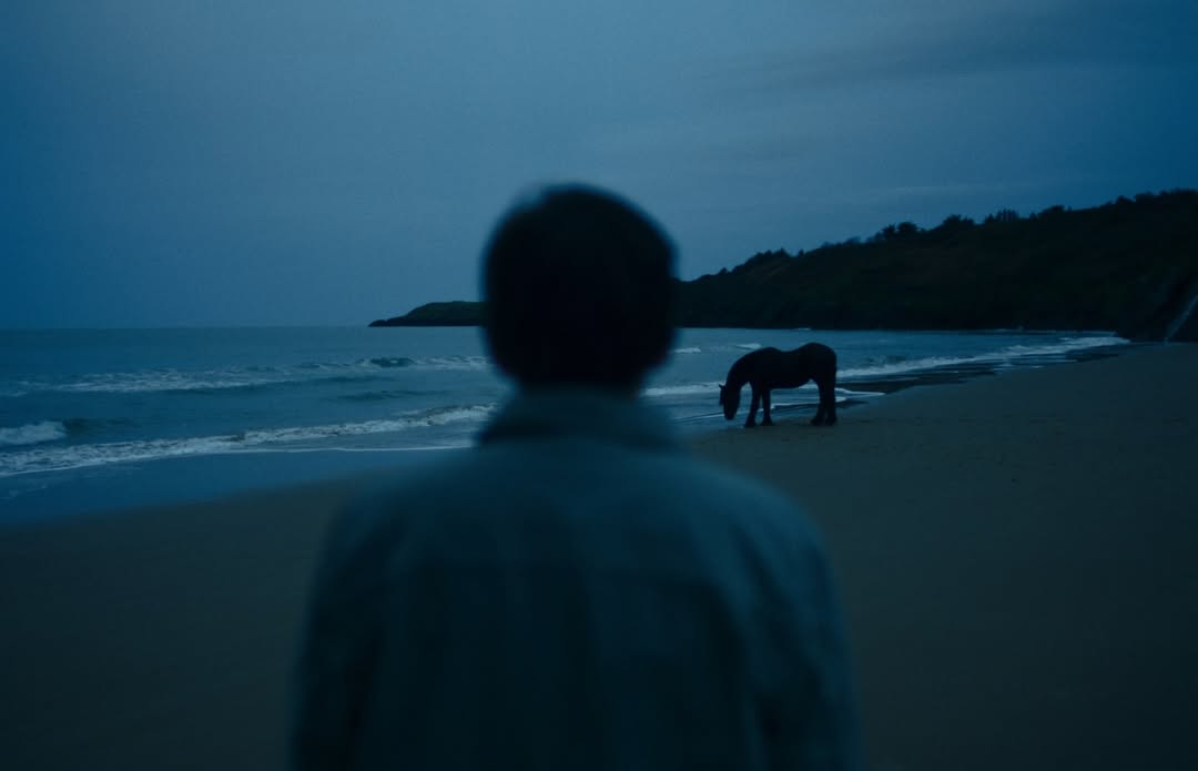 Dermot Kennedy, Funeral 

Directed by Charlie Sarsfield 
Grade by Vlad

Credits: 
Director @charlie.sarsfield
DOP: @courtneybennettdp 
Commissioner Jared Shelton
Production Company @untold_studios
Head of Music @annieayres
Executive Producer / Producer @mikeshootsthings
Ireland Production Company @heritage.ie
Producers @Grainne.Dwyer @HannahLambert
Editor & Online @thomasbusterherring
VFX @wearealchemytv

Studio RM Team:
Grade: @vladb.c
Grade Assist: @alyssacollomedina @danbrowncolour 

Executive Producer: @mikecoley_culkin
Post Producer: @ellahill.jpg