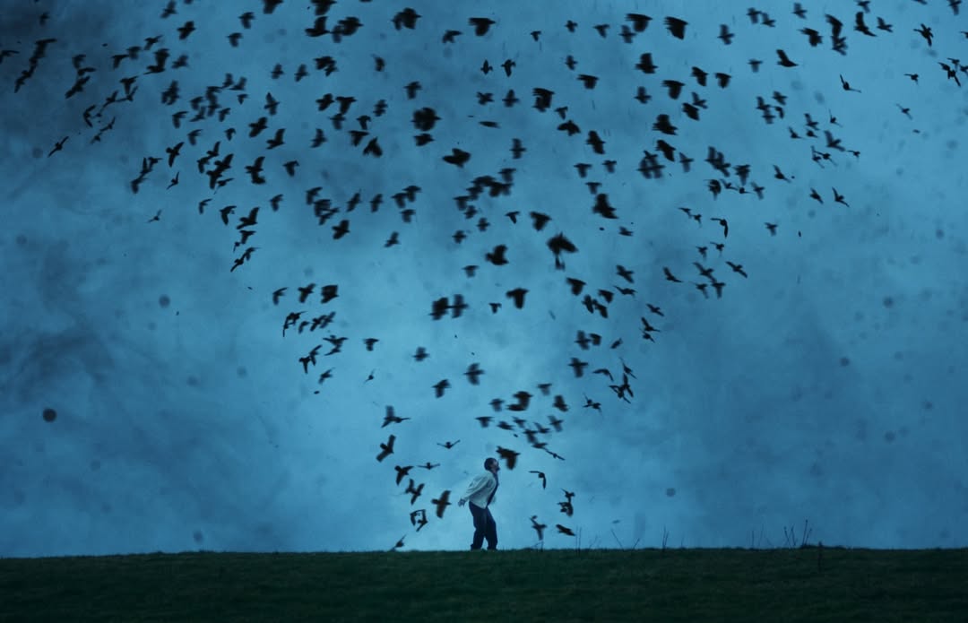 Dermot Kennedy, Funeral 

Directed by Charlie Sarsfield 
Grade by Vlad

Credits: 
Director @charlie.sarsfield
DOP: @courtneybennettdp 
Commissioner Jared Shelton
Production Company @untold_studios
Head of Music @annieayres
Executive Producer / Producer @mikeshootsthings
Ireland Production Company @heritage.ie
Producers @Grainne.Dwyer @HannahLambert
Editor & Online @thomasbusterherring
VFX @wearealchemytv

Studio RM Team:
Grade: @vladb.c
Grade Assist: @alyssacollomedina @danbrowncolour 

Executive Producer: @mikecoley_culkin
Post Producer: @ellahill.jpg