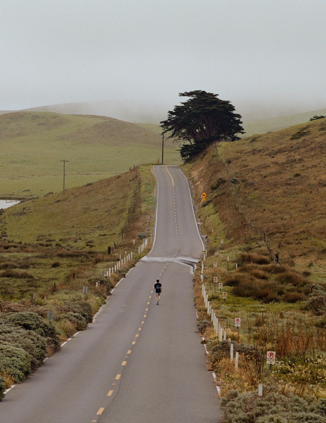 Bandit, Quite Miles 

Grade & Stills Retouching by us 

Credits: 
Director: @henrykornaros 
Photographer: @ioegreer 
DOP: @embo920

Studio RM Team:
Grade: @vladb.c 
Grade Assist: @danbrowncolour 
Stills Retouching: @studio__rm 

Executive Production: @mikecoley_culkin 
Stills Producer: @ellajcousins_