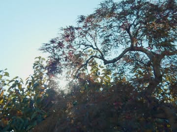 Recent Highlights from Jules @juleswcolour 