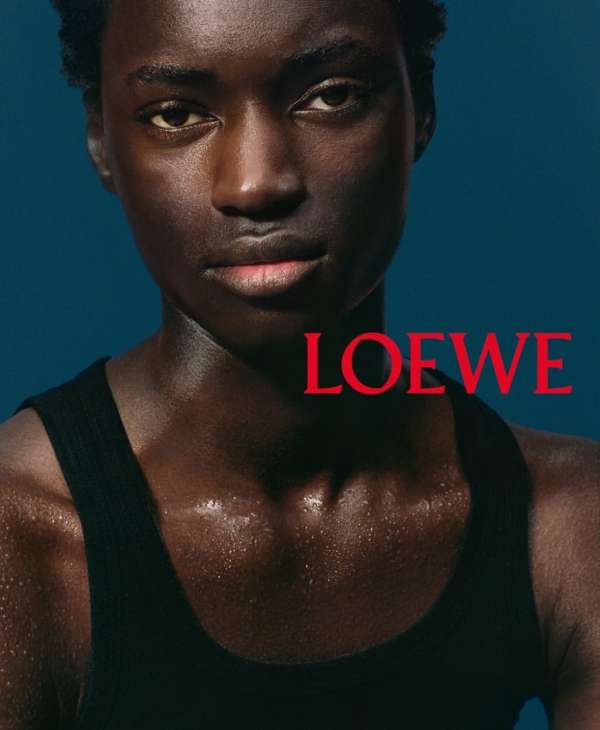 Loewe Perfumes