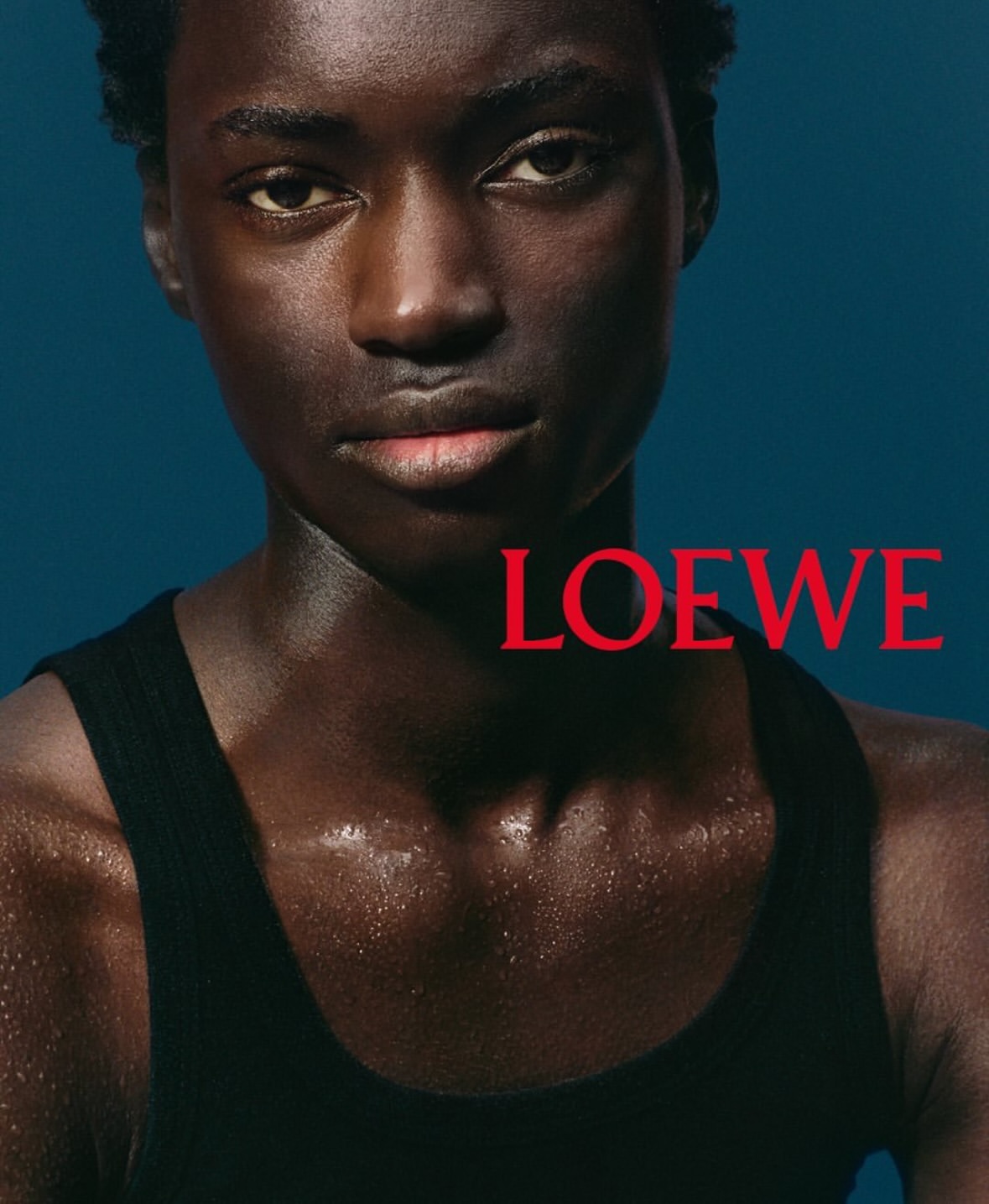 Loewe Perfumes