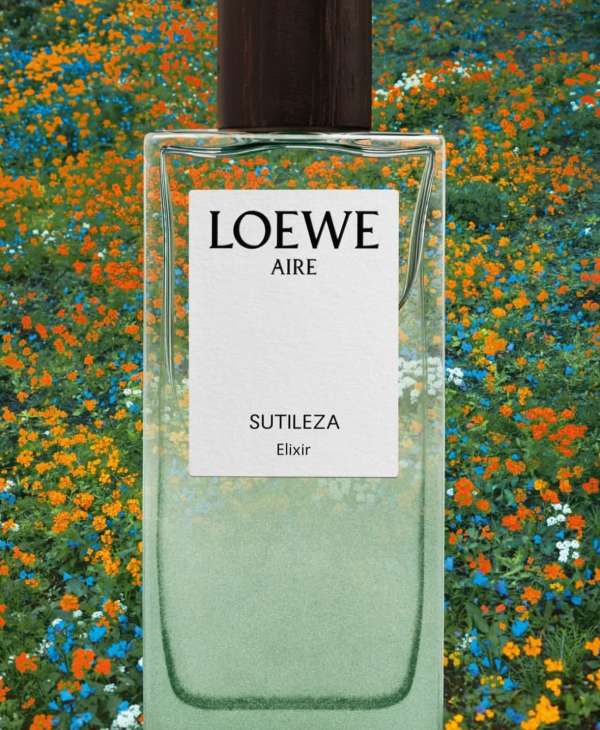 Loewe Perfumes