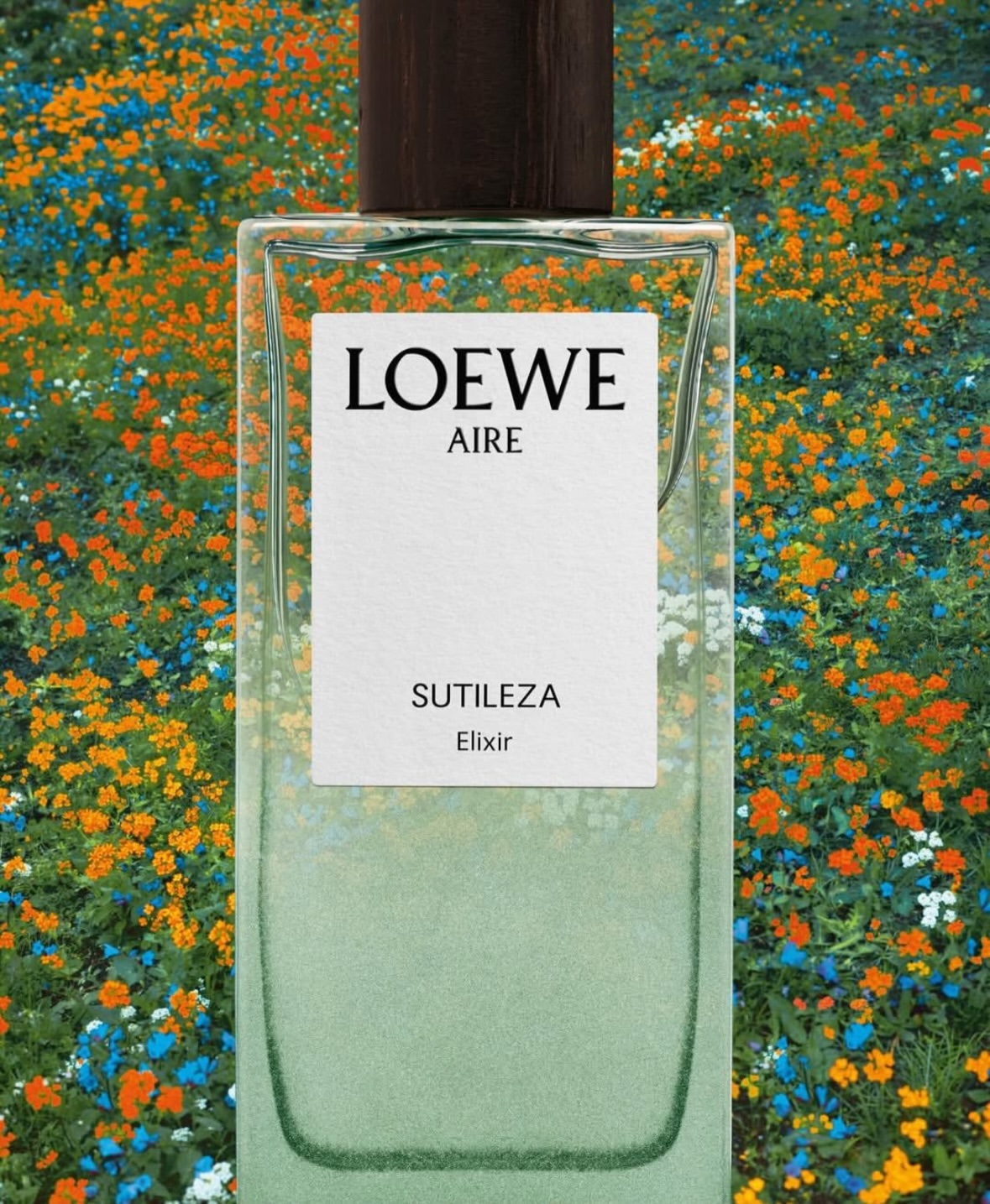 Loewe Perfumes