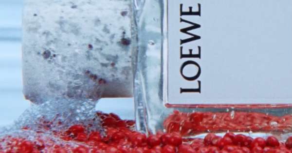 Jack grades @loewe_perfumes
