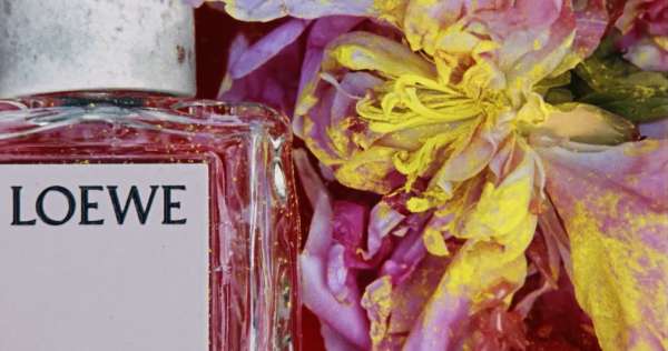 Jack grades @loewe_perfumes