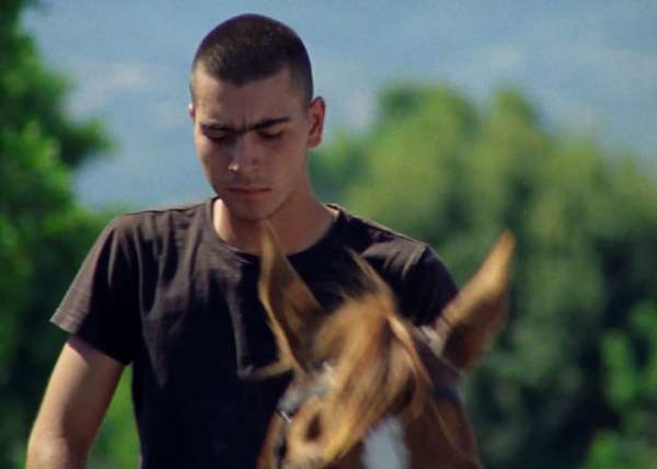 @wepresent - S’ARDIA 🏇