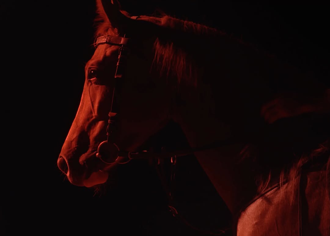@wepresent - S’ARDIA 🏇
|
Director: Billy Barraclough @billybarraclough 💫
Cinematographer: @srafinney
Producer: @arthursharples
Executive Producers: @hollymercedes27 @alex.kahl
|
Editor: Dennis Mabry
Colourist: @juleswcolour 👋🏻
Colour Producer: @ellahill.jpg @studio__rm
Colour EP: @mikecoley_culkin @studio__rm
Sound Recordist: @cladirec
Sound Design: @antekrutczynski.sound
Composer: @szymonwojcik__________
|
B Camera Operator 1: @felixwildey
B Camera Operator 2: @mrdomjoyce
B Camera Operator 3: @roberto_cadeddu_visual_prod
Assistant Camera: @felixwildey
Field Producer: @chemicalclaudia
Line Producer: Sam Haywood
Production Company: @artproduction__
Designer: @loganjohn.info
Additional Foley: @maaaxantoine
Fixer: @barbaravittoriavitale
Location Support: Pietro Cubeddu
Translator: @chemicalclaudia
Language Consultant: @fabio.amurri
Singer: Daniele Giallara