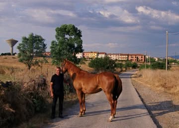 @wepresent - S’ARDIA 🏇