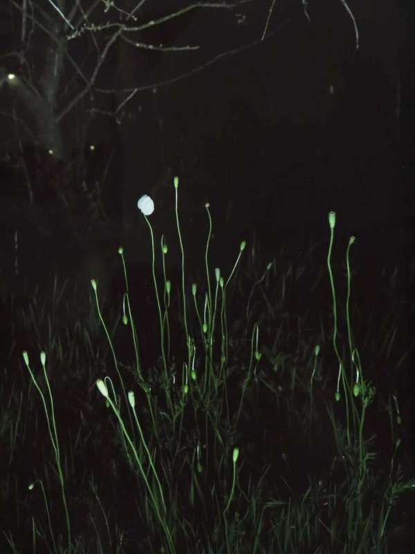 La Team Daguerre a passé quelques heures au...