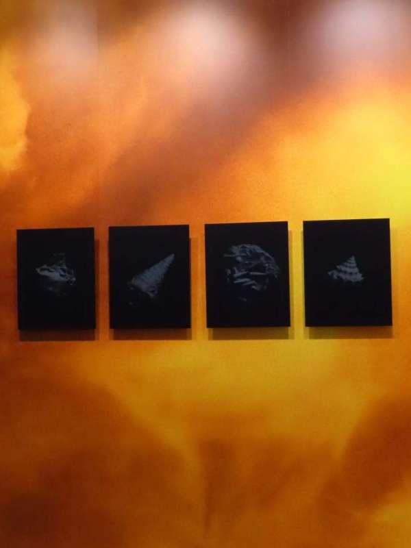 La Team Daguerre a passé quelques heures au...