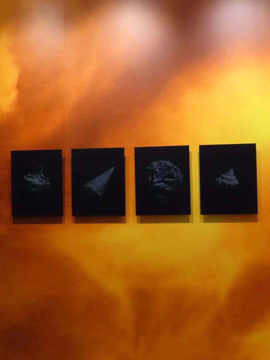 La Team Daguerre a passé quelques heures au cœur de l’exposition Paris Photo.
Cette dernière met en avant une grande diversité d’artistes, de tirages et de visions. On y découvre des images fortes, des approches nouvelles et une vraie attention portée à la lumière et à la matière.
Voici quelques instants qui nous ont marqués, partagés tels que nous les avons vus.
Une belle dose d’inspiration pour notre travail au Studio Daguerre.

#expo #exhibition #Parisphoto #newissue #studiodaguerre parisphotographer studiophoto studiophotoparisphotographyphotoshoot photographer photooftheday photo studio portrait model photoshopfashionphotography art photographylovers photomodel