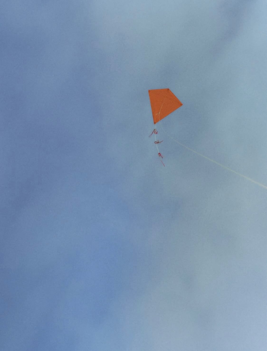 LE MONDE D’HERMES x MASAYA TANAKA • Studio 1