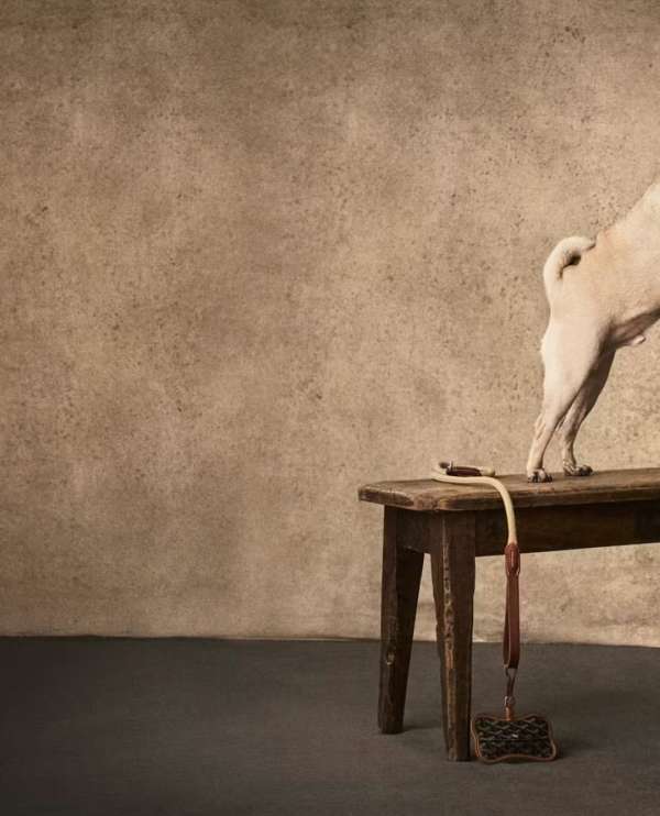 Esquire France x Richard Phibbs • Studio 3