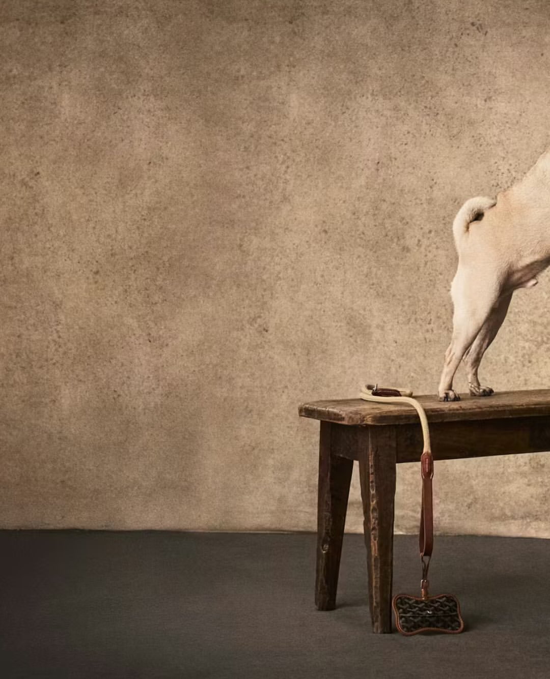 Esquire France x Richard Phibbs • Studio 3