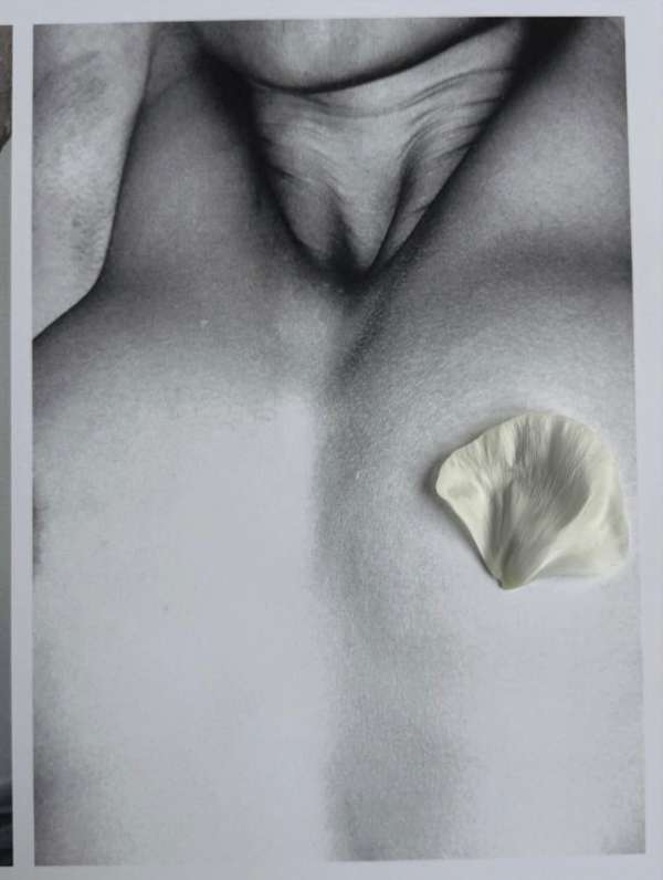 Sixteen Vol.14 x Jess Ruby James • Studio 1