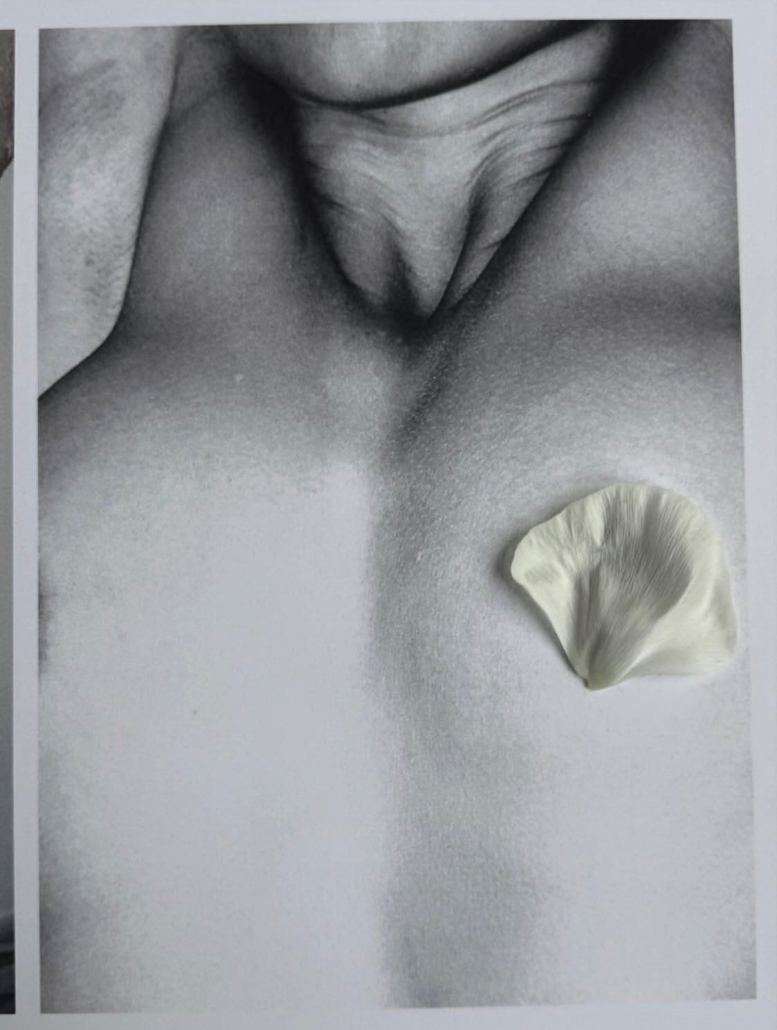 Sixteen Vol.14 x Jess Ruby James • Studio 1