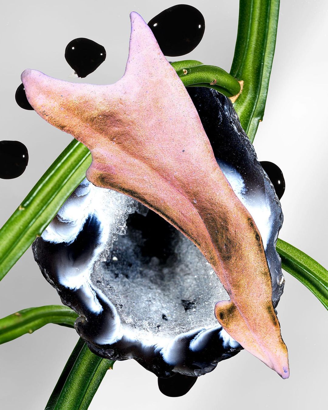 Independent Paper Show |  May. 23