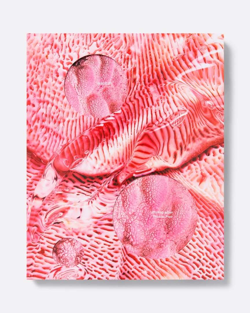 Thomas Pico X cactus Apr. 26