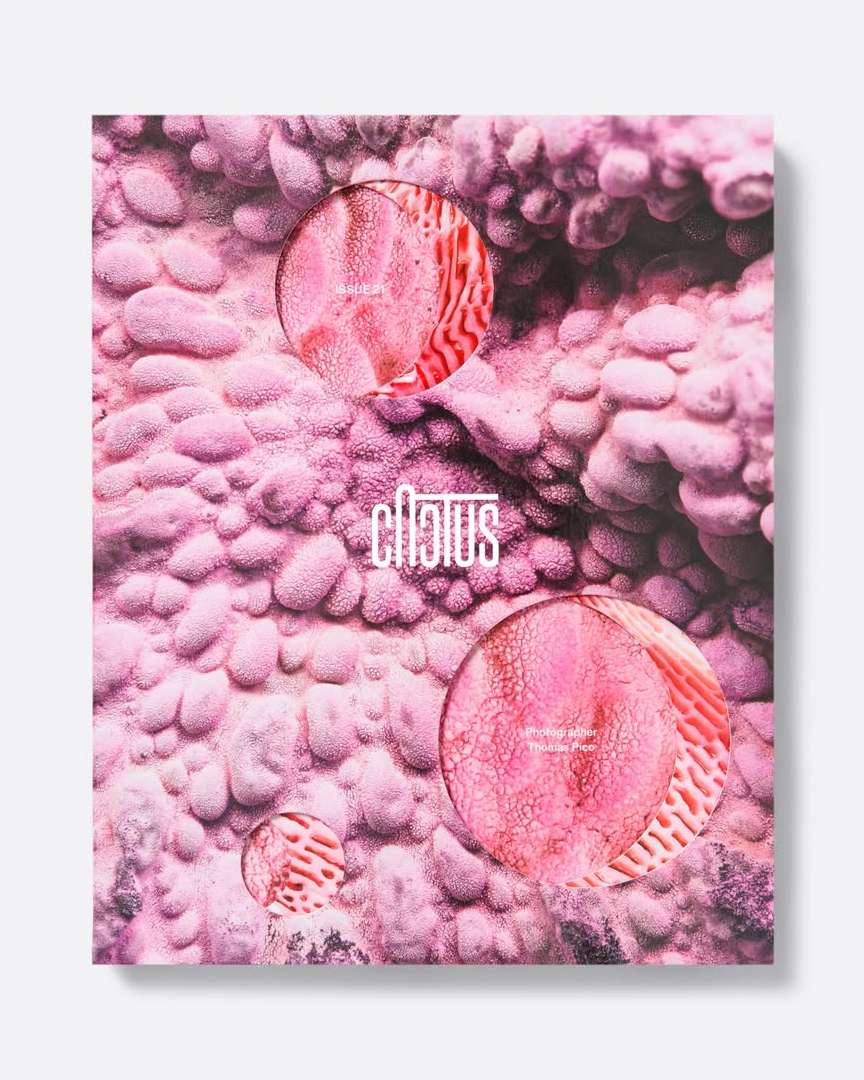 Thomas Pico X cactus