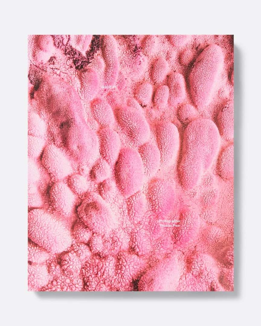 Thomas Pico X cactus
