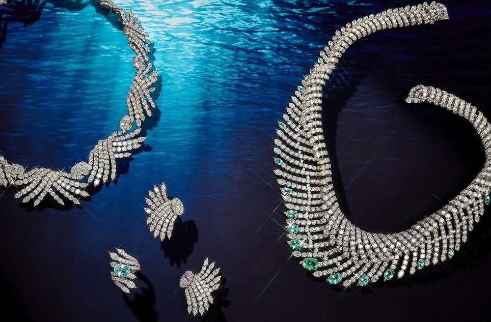 Jeffrey Westbrook X GRAZIA USA