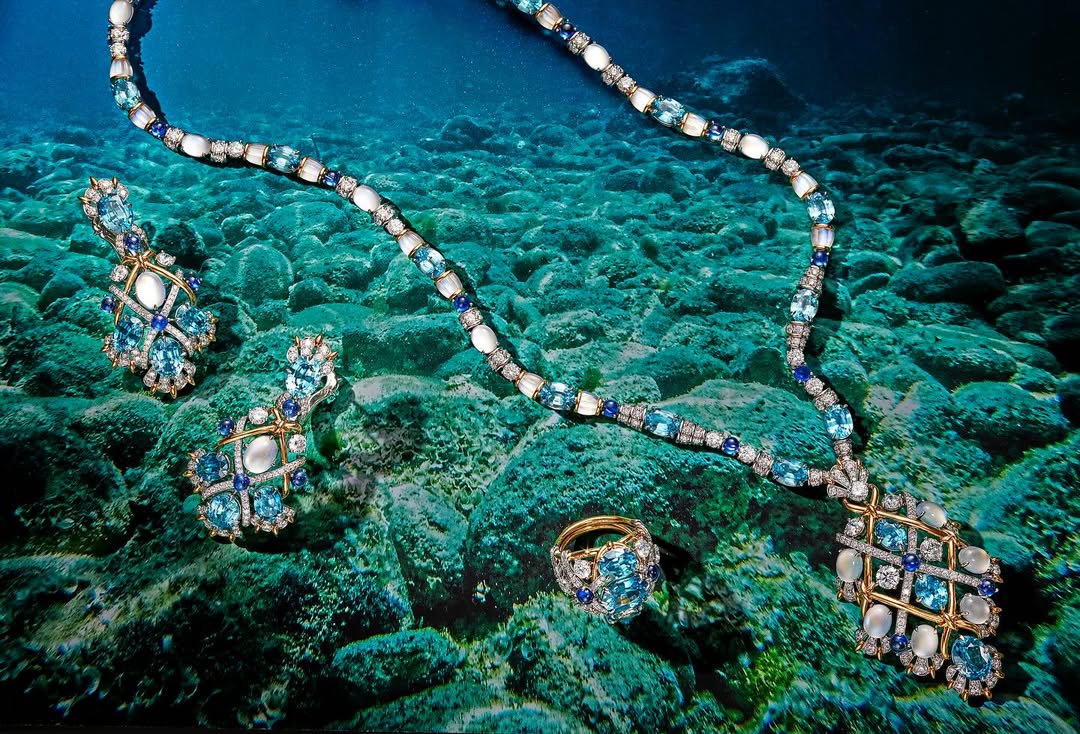 Jeffrey Westbrook X GRAZIA USA