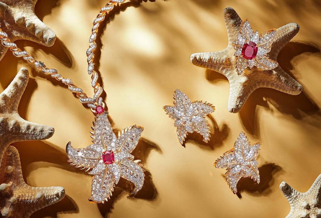 Jeffrey Westbrook X GRAZIA USA