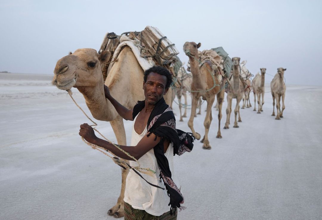 Earth Aware editions |  Dec. 22