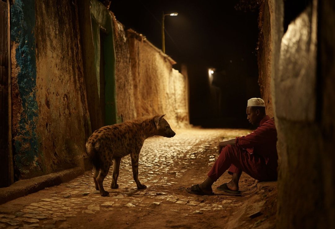 Earth Aware editions |  Dec. 22