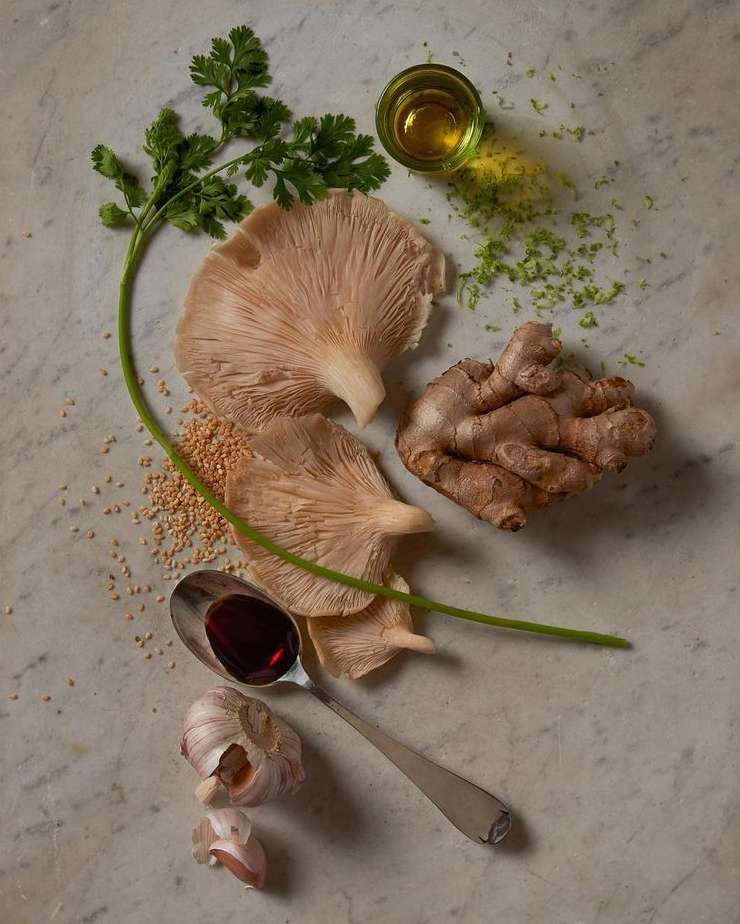 Neptune Papers |  Feb. 21