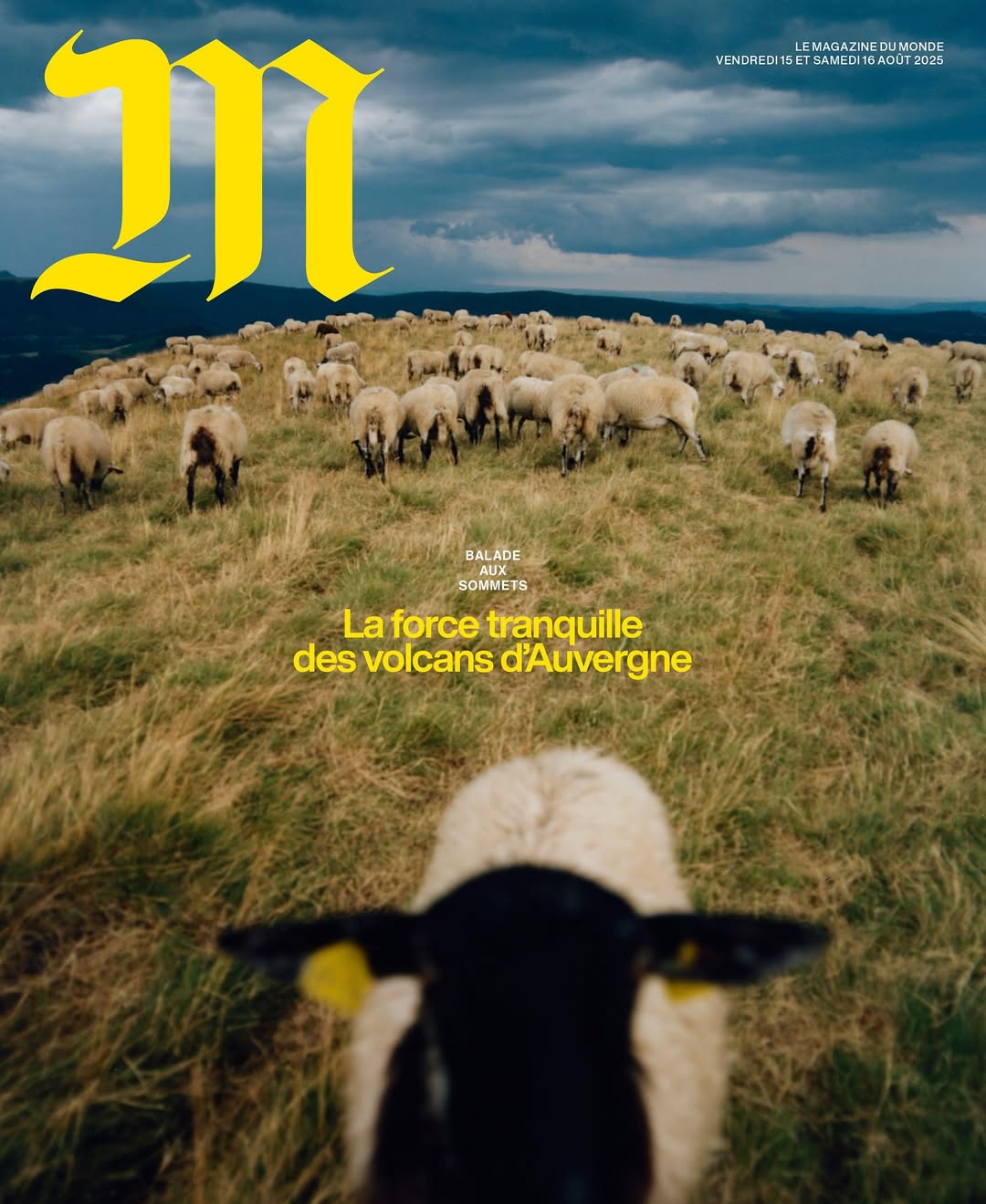 Mathieu Richer Mamousse X M Le Monde Aug. 25