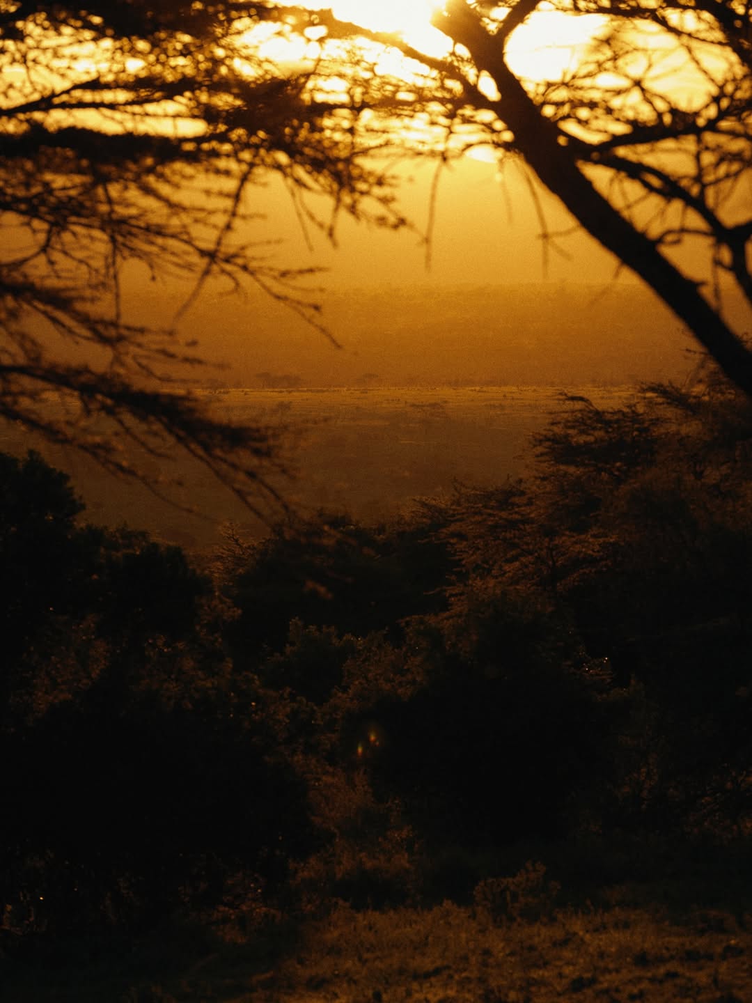 Mathieu Richer Mamousse X Air France Jan. 26