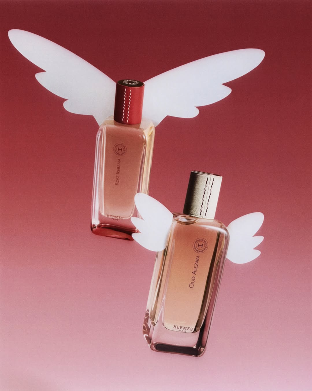 Emily Jeanne X Hermès