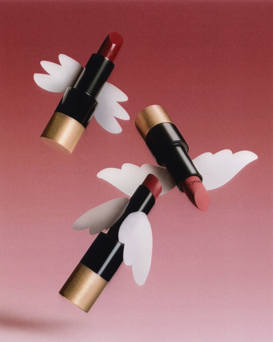 Emily Jeanne X Hermès