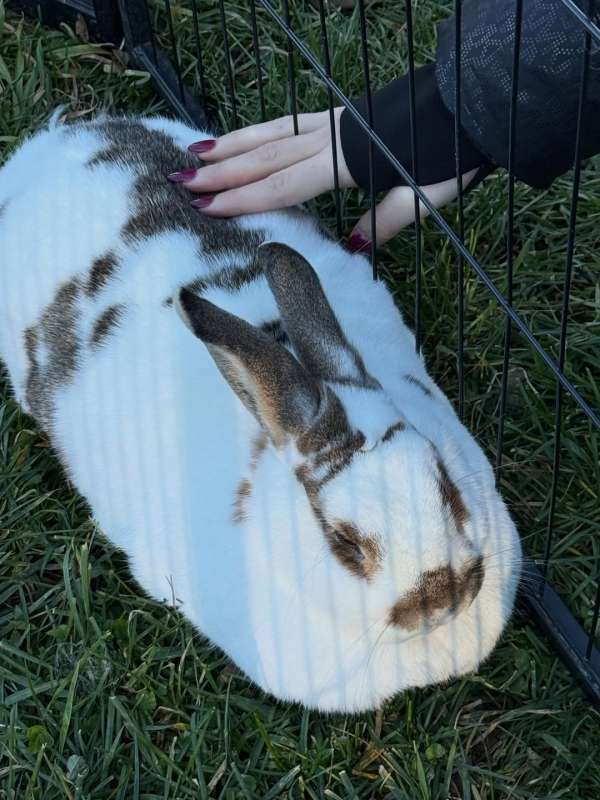 @sashaaeb @zoe_hallett @jaynewexler @lia_m_...