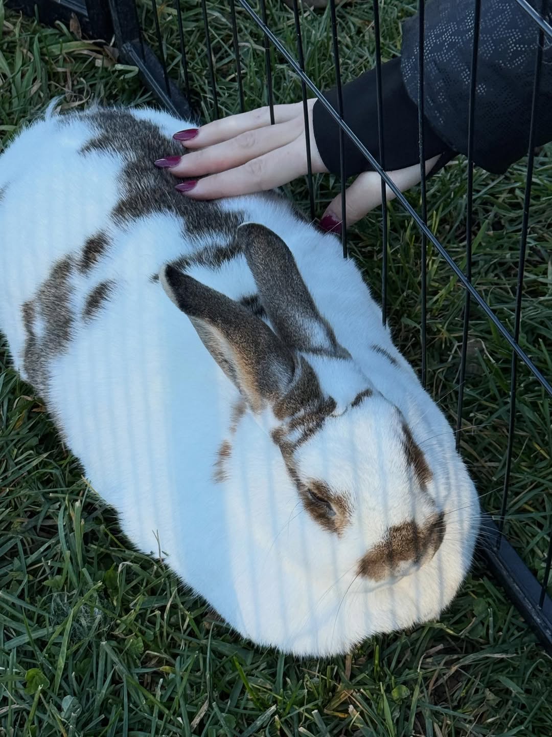 @sashaaeb @zoe_hallett @jaynewexler @lia_m_f_h @jamie_hallbutt