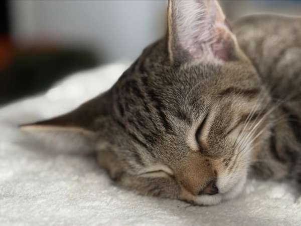 Was a pretty good one!