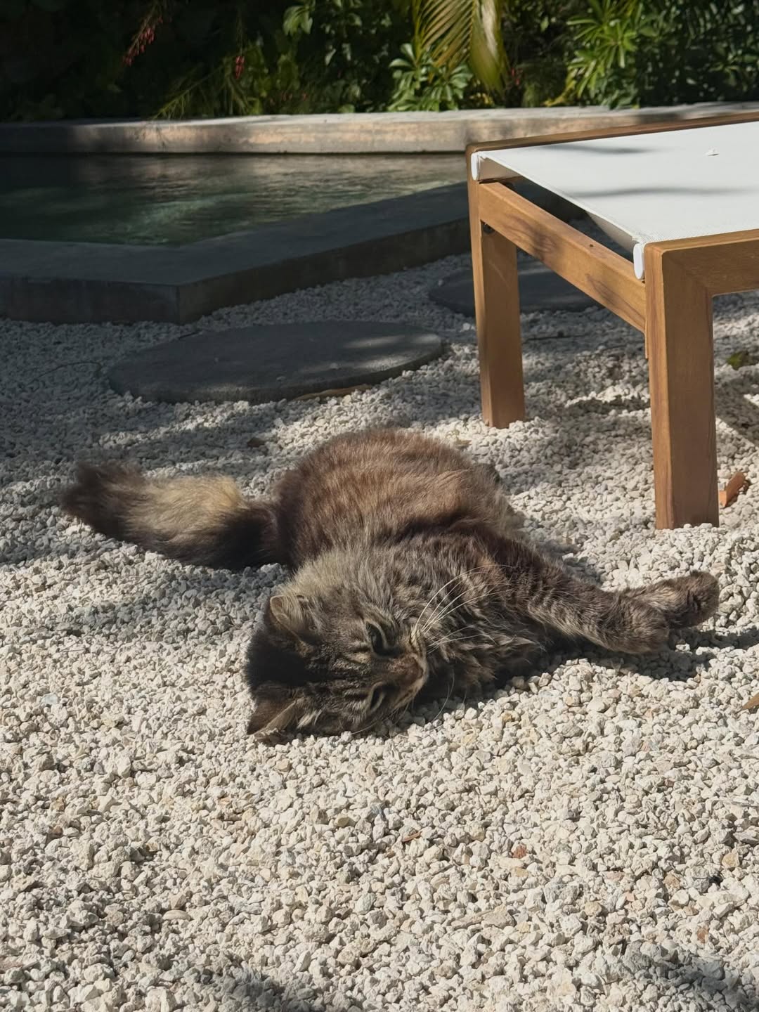 Casabay Mid century home rental. 
@airbnb