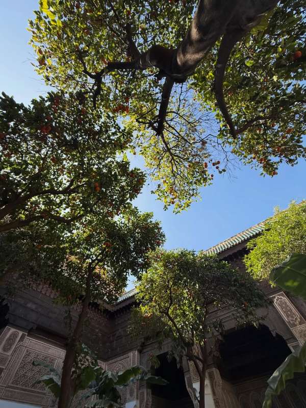 Amazing tour in the Medina today with @marr...