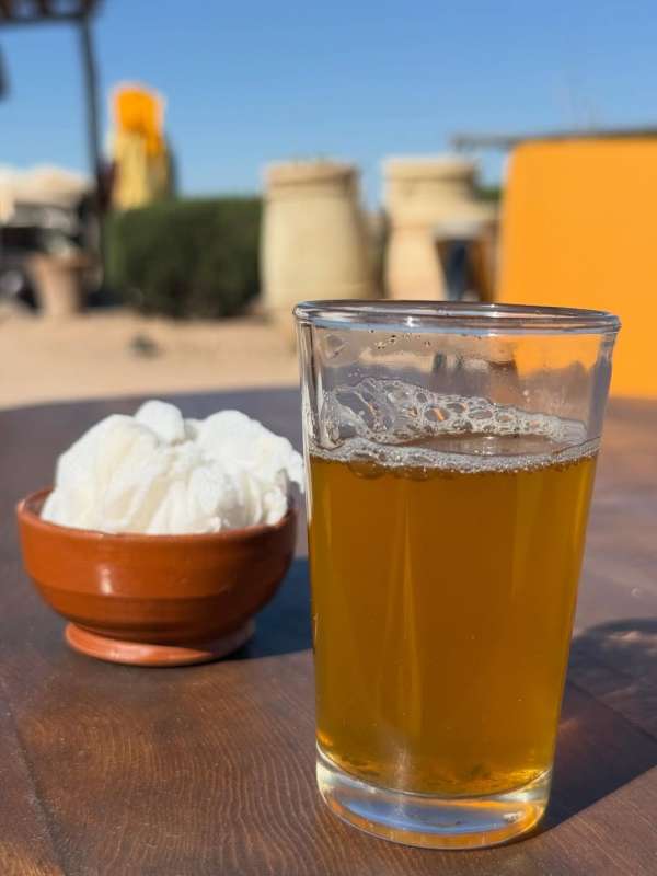 Today’s set up. Change of pace in the Agafa...