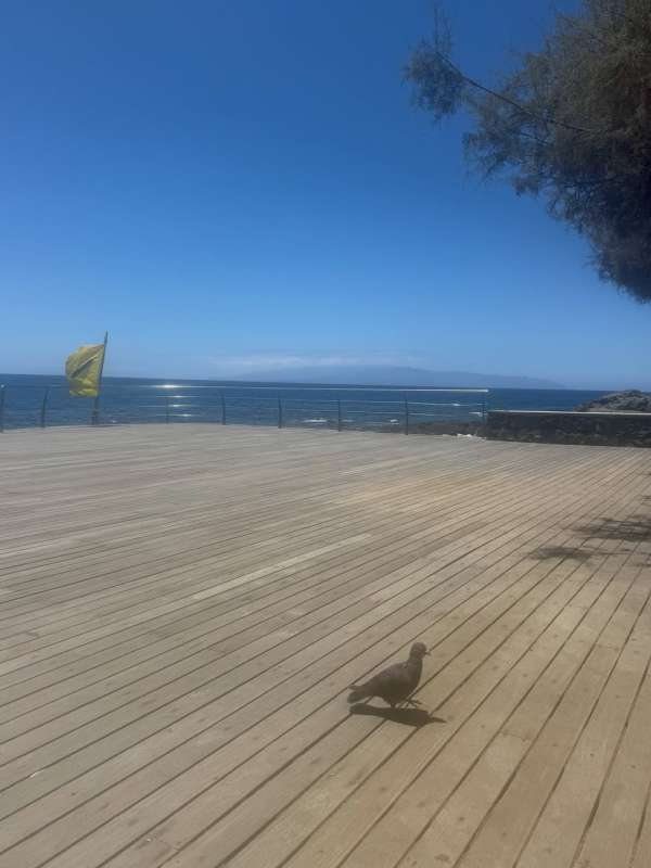 Things to see today.  #tenerife