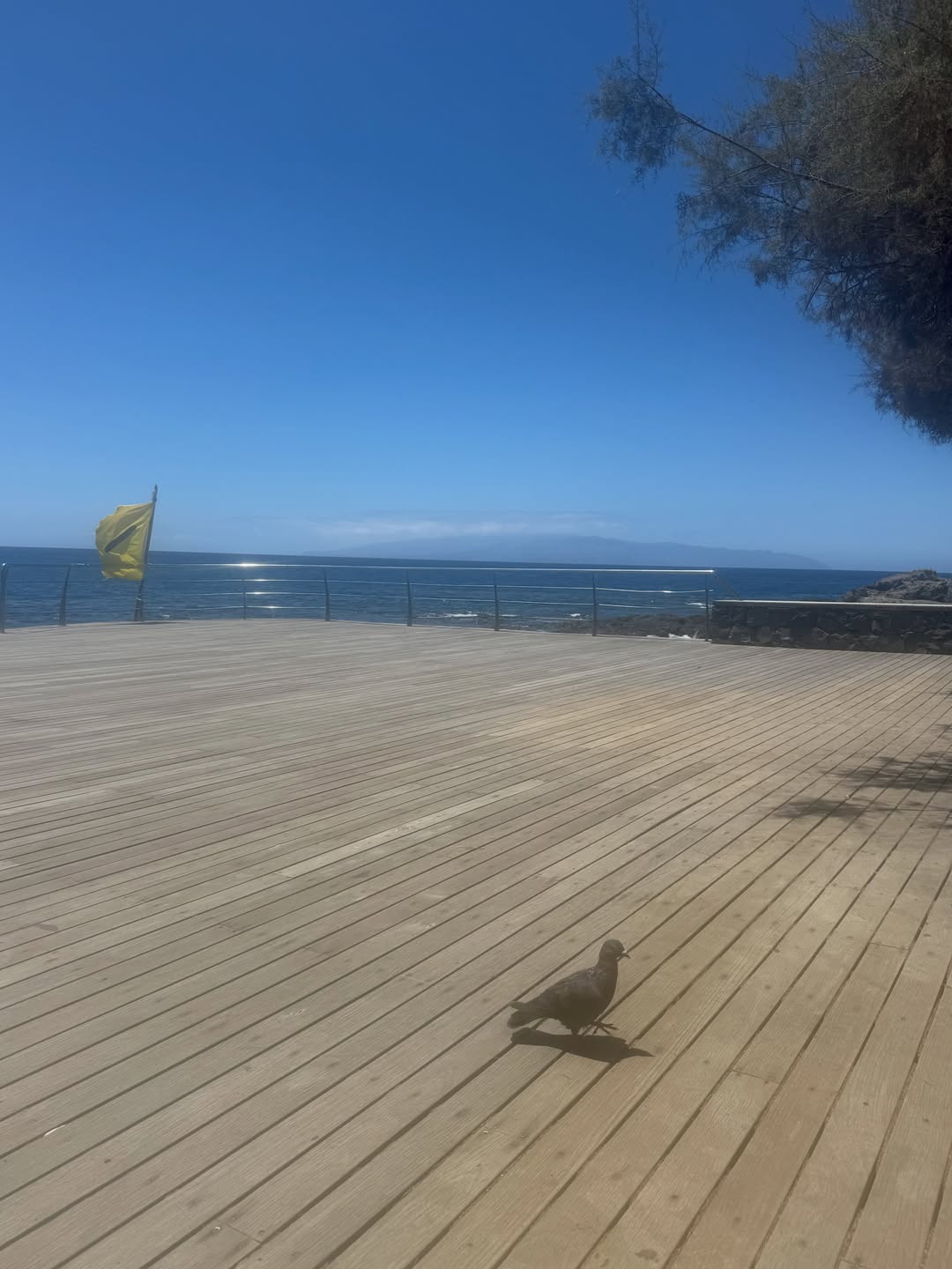 Things to see today.  #tenerife