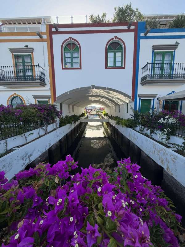 “Little Venice” in Gran Canaria today. 3 we...