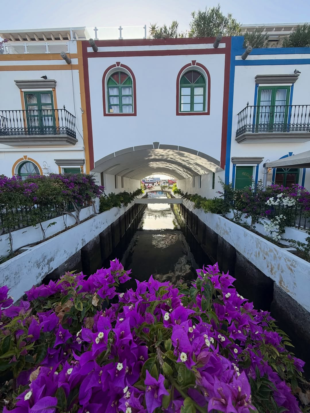 “Little Venice” in Gran Canaria today. 3 weeks or so later, we head back to NYC tmrw. 

Our great friend, photographer, tour guide and all around wonderful person Pedro Castellano has treated us to the best experiences in the Canaries. Ever grateful to him, his family and friends. We will return! ❤️
