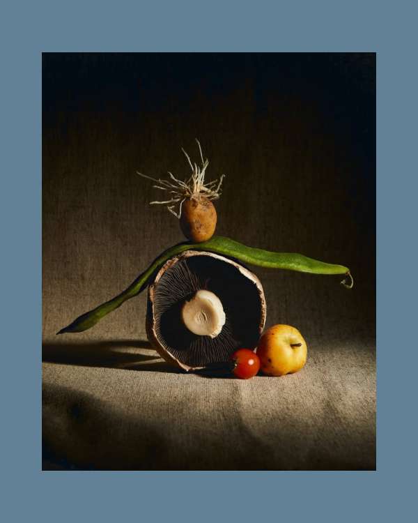 Nocera&Ferri