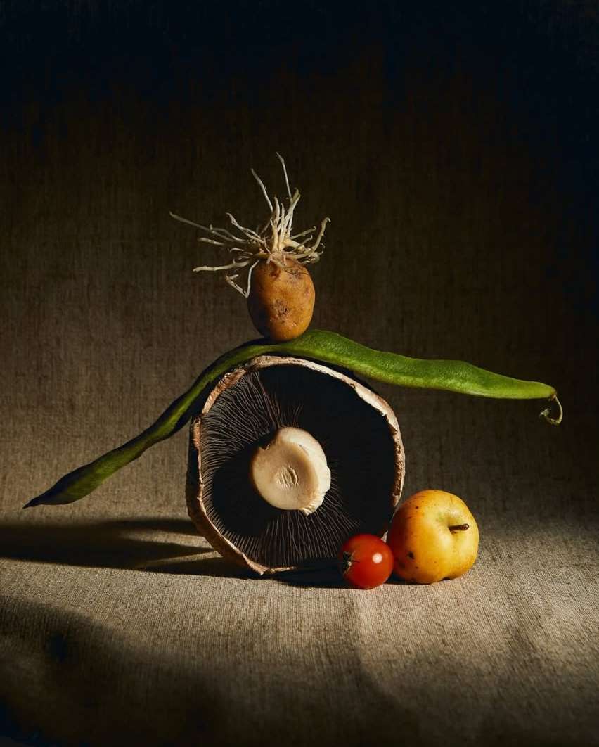 Nocera&Ferri