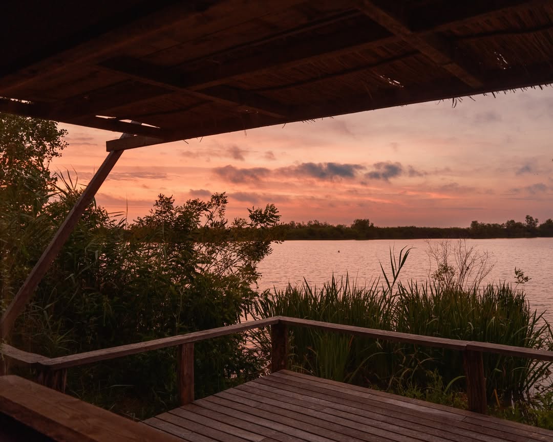 Alex Cretey Systermans X The New York Times Jul. 25