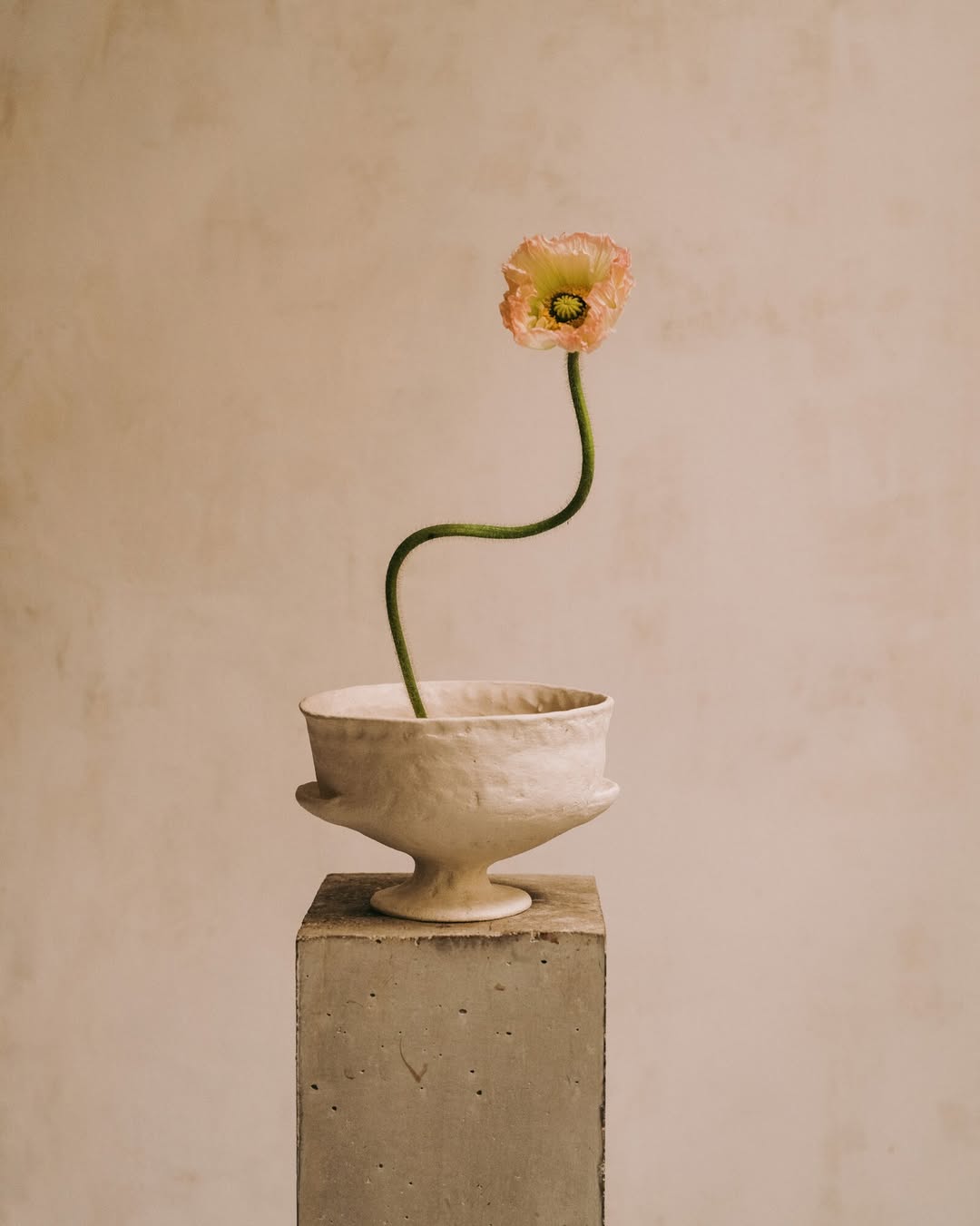 Alex Cretey Systermans X Louis-Géraud Castor for Konfekt Aug. 25