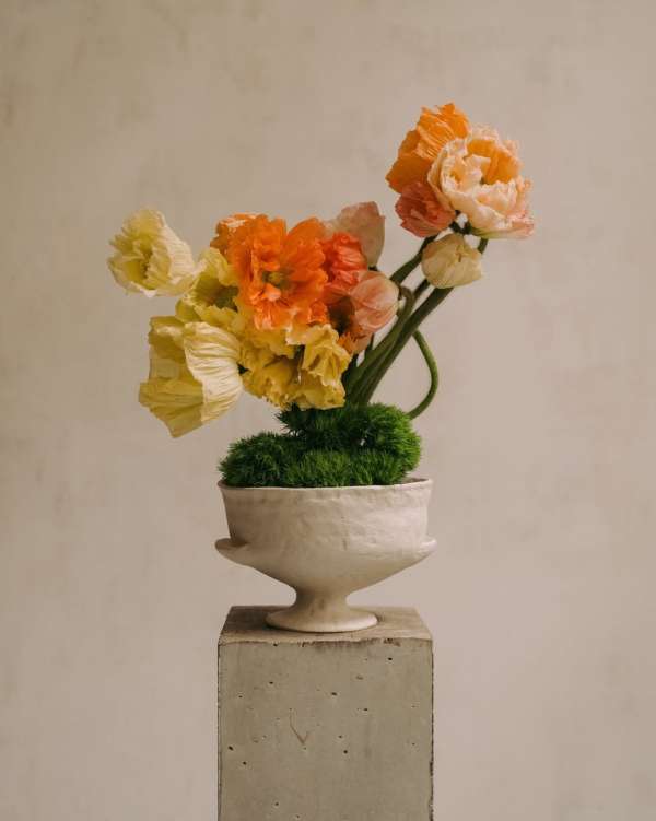 Alex Cretey Systermans